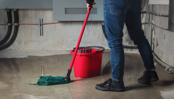 Best 24-hour water damage restoration  in Napa, CA