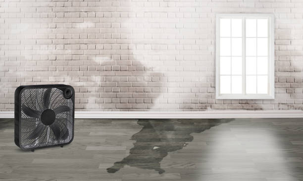 Best Ceiling water damage repair  in Napa, CA