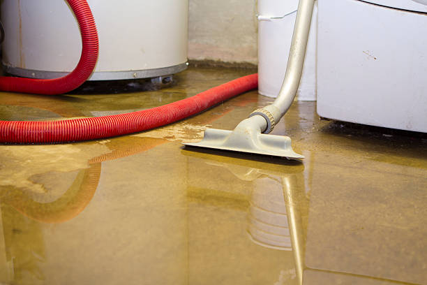 Best Mold removal after water damage  in Napa, CA