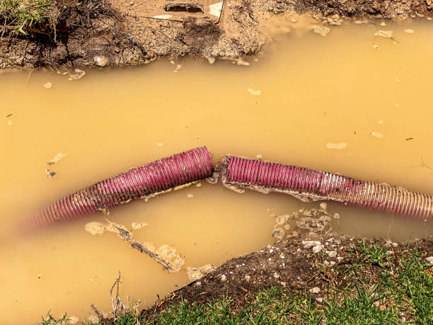  Napa, CA Water damage restoration Pros